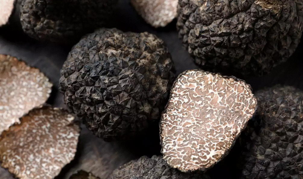 Black Truffles