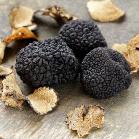 Black Truffles